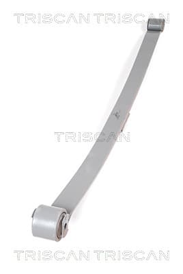 Federnpaket TRISCAN 8765 10002